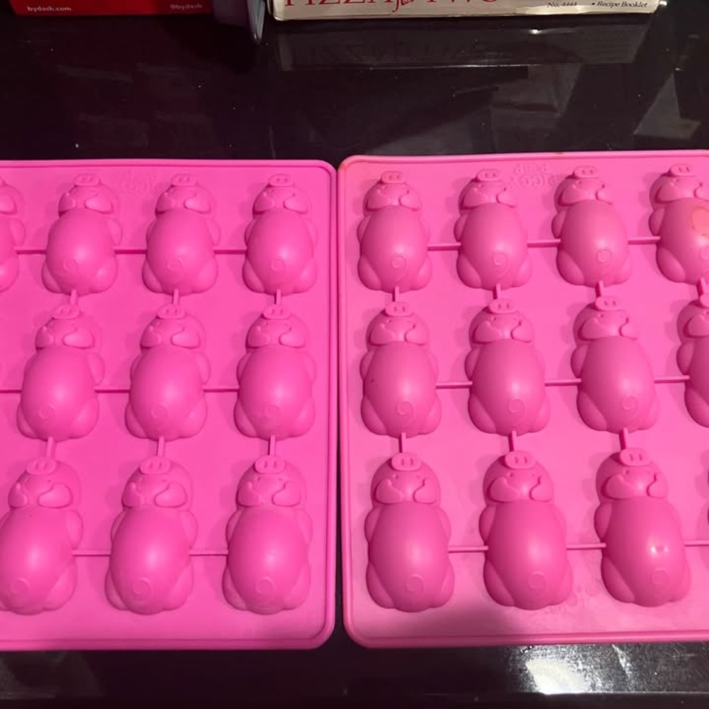 Piggy Pop Silicone Baking Pans (Set of 2) – Good Condition